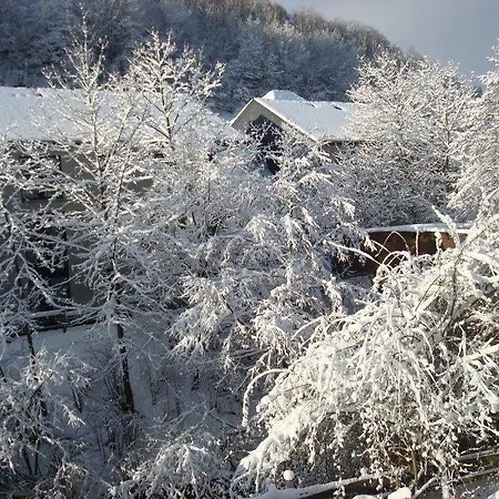 Val De Poix- Logis Restaurant 3* Saint-Hubert