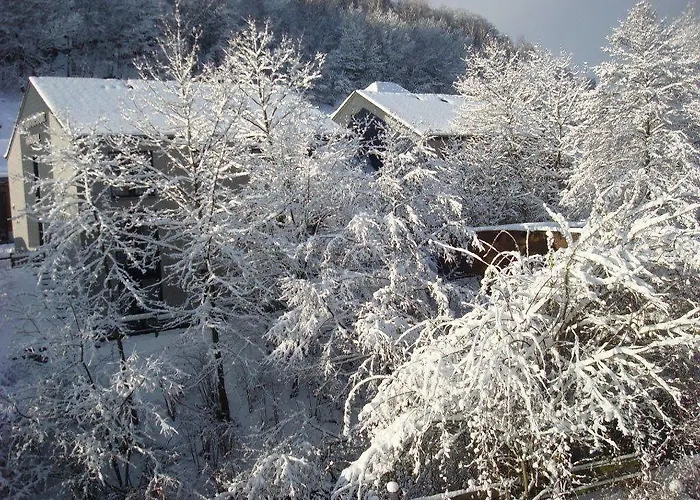 Val De Poix- Logis Restaurant 3* سانت هوبيرت