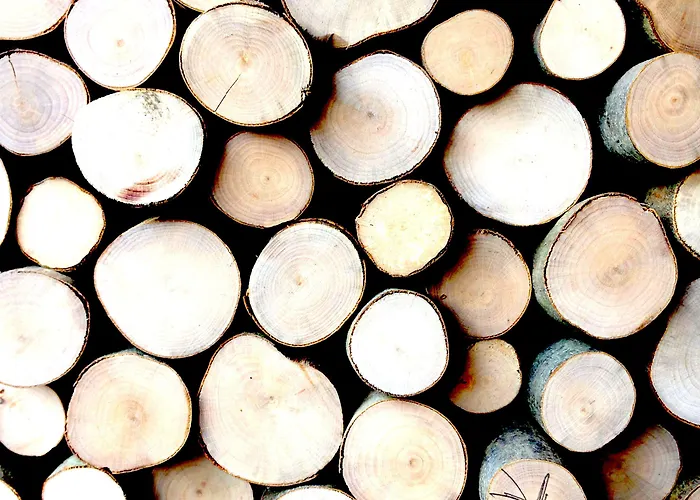 Val De Poix- Logis Restaurant 3* سانت هوبيرت